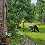 Apartment - Ranch *