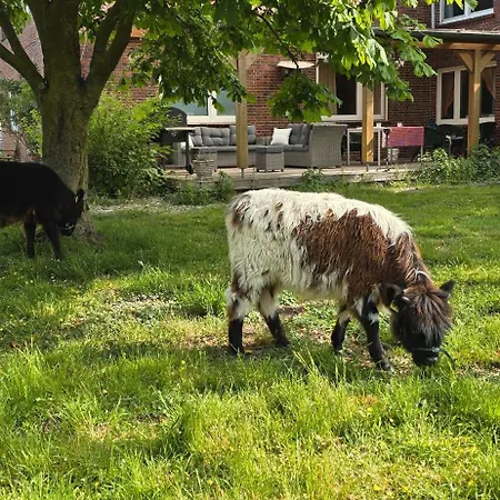 شقة - Ranch فيزمور