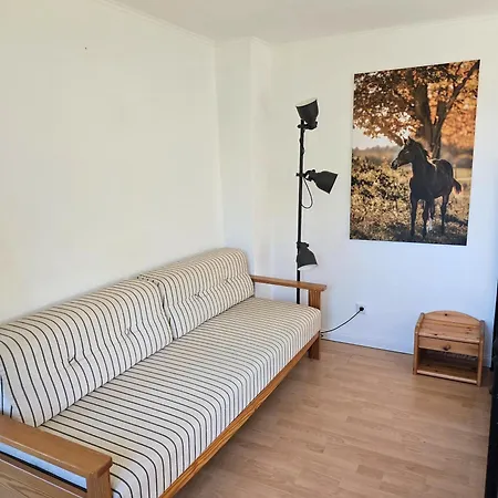 - Ranch شقة فيزمور