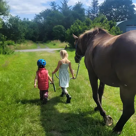 - Ranch فيزمور